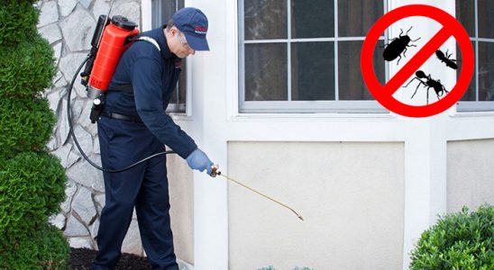Orta Böcek İlaçlama böcek ilaçlama ve haşere kontrolü — ilaclama-tr.com